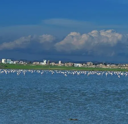 Pelides Larnaka