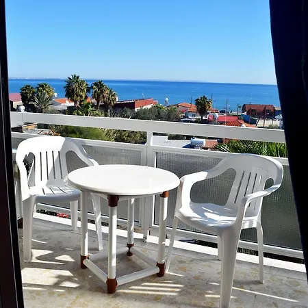 Pelides * Larnaka