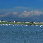 Pelides Larnaca
