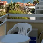 بيليديس
